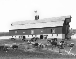 The Henry Sump barn, seen here, was constructed of solid walnut, cut on the site, along with native limestone quarried locally. Sump was struck by lightning and died at his ranch in 1920 while operating a manure spreader.