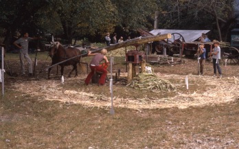 Charles Herman photographed Molasses Days events at the Thierer farm at Volland, Kansas in this view from the 1970s.