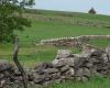 View showing both original and restored stone fence in Wabaunsee County. Photo credit Nancy Crenshaw-Miller.